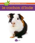 Le cochon d’Inde