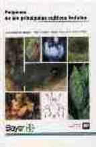 Pulgones de los principales cultivos frutales