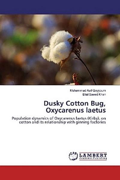 Dusky Cotton Bug, Oxycarenus laetus