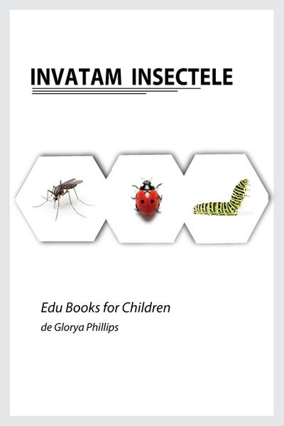 Invatam Insectele