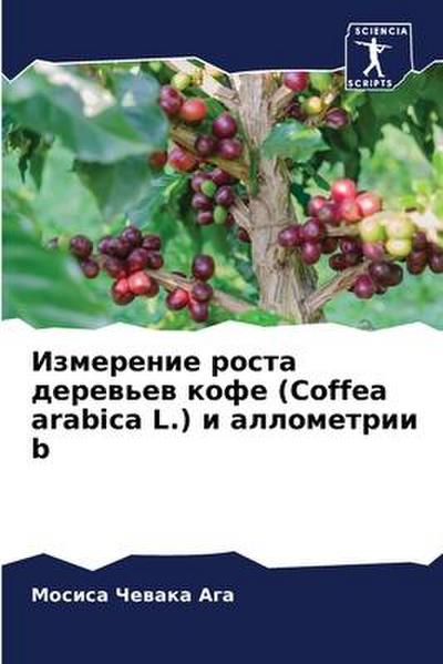 Izmerenie rosta derew’ew kofe (Coffea arabica L.) i allometrii b