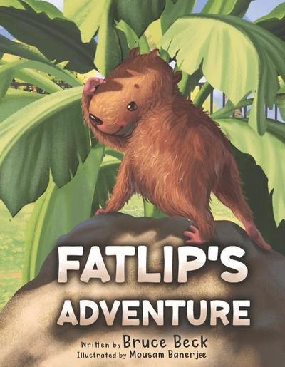 Fatlip’s Adventure