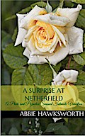 A Surprise at Netherfield: A Pride and Prejudice Sensual Intimate Novella (Mr. Darcy’s Secret Engagement, #2)