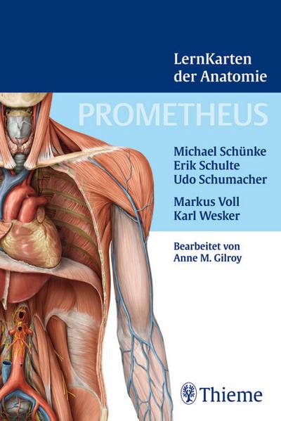 Prometheus Lernkarten der Anatomie: Box mit 367 Lernkarten aus den Gebieten Rücken, Thorax, Abdomen und Becken, Obere Extremität, Untere Extremität, Kopf und Hals sowie Neuroanatomie
