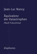 Nancy,Katastrophen