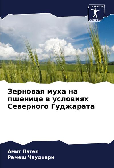 Zernowaq muha na pshenice w uslowiqh Sewernogo Gudzharata