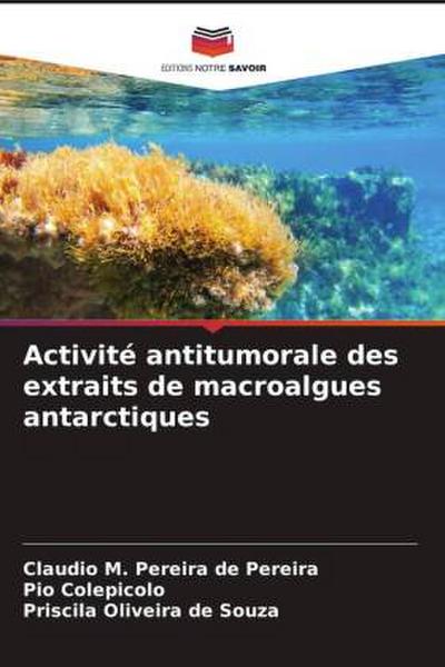 Activité antitumorale des extraits de macroalgues antarctiques