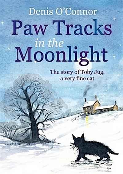 Paw Tracks in the Moonlight