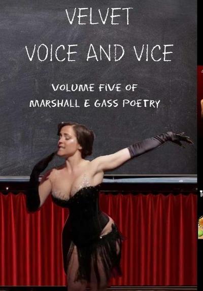 Velvet Voice and Vice