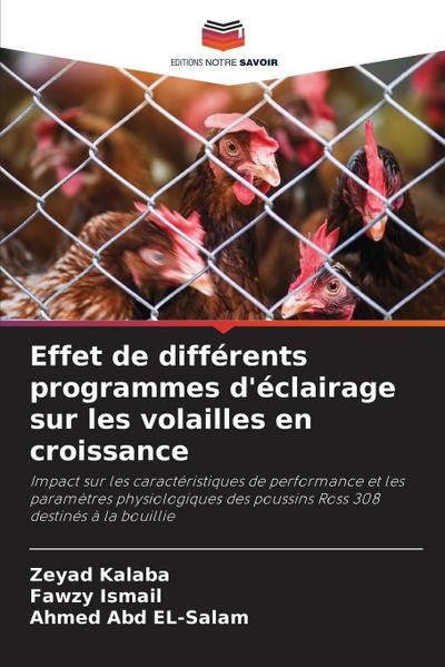 Effet de différents programmes d’éclairage sur les volailles en croissance