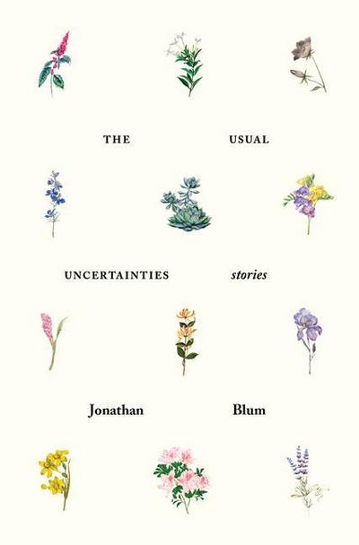 Blum, J: Usual Uncertainties: Stories
