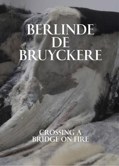 Berlinde de Bruyckere: Crossing a Bridge on Fire