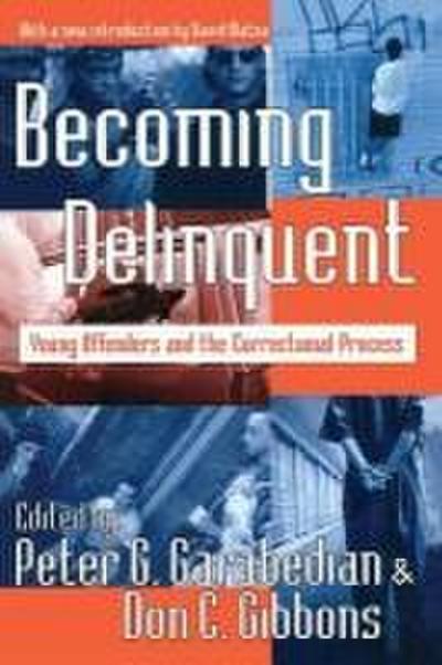 Becoming Delinquent