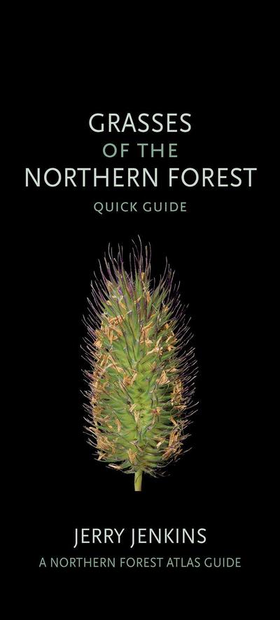 Grasses of the Northern Forest