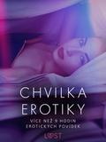 Chvilka erotiky: více nez 9 hodin erotických povídek