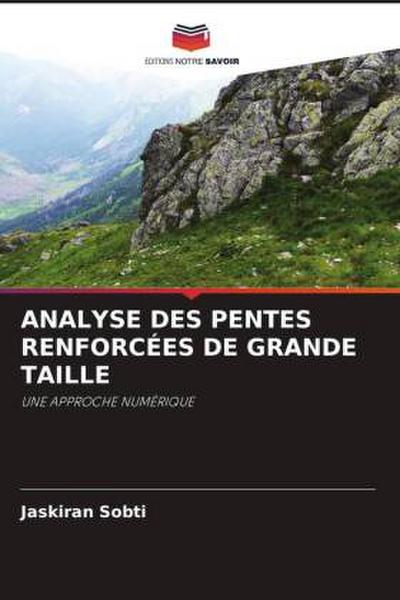 ANALYSE DES PENTES RENFORCÉES DE GRANDE TAILLE