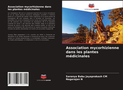 Association mycorhizienne dans les plantes médicinales