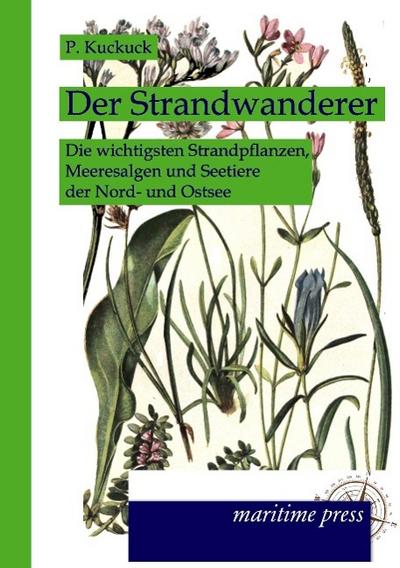 Der Strandwanderer