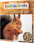Das Eichhörnchen