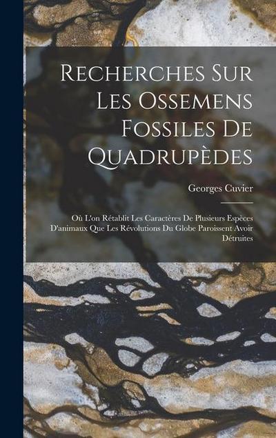 Recherches Sur Les Ossemens Fossiles De Quadrupèdes