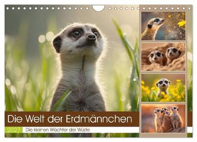 Die Welt der Erdmännchen (Wandkalender 2027 DIN A4 quer), CALVENDO Monatskalender
