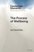 Process of Wellbeing
