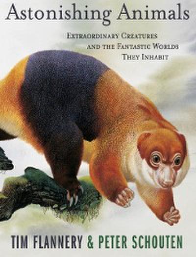 Astonishing Animals