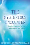 The Mysterious Encounter