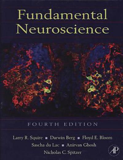 Fundamental Neuroscience