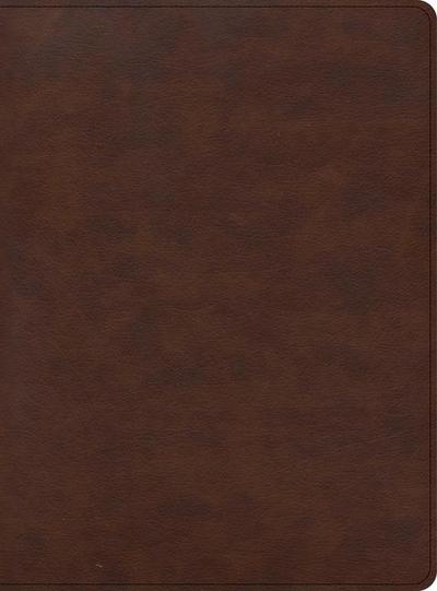 CSB Apologetics Study Bible for Students, Brown Leathertouch