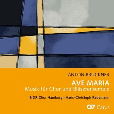 Ave Maria - Musik für Chor und Bläserensemble