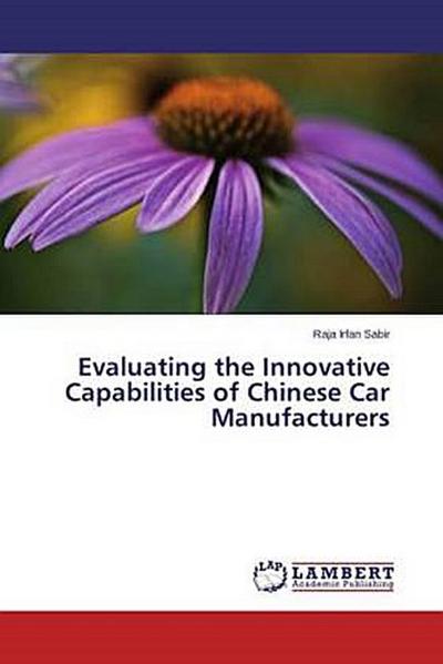 Evaluating the Innovative Capabilities of Chinese Car Manufacturers