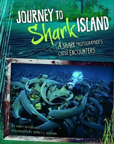 Journey to Shark Island: A Shark Photographer’s Close Encounters