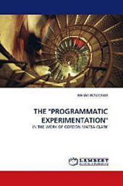 THE "PROGRAMMATIC EXPERIMENTATION"