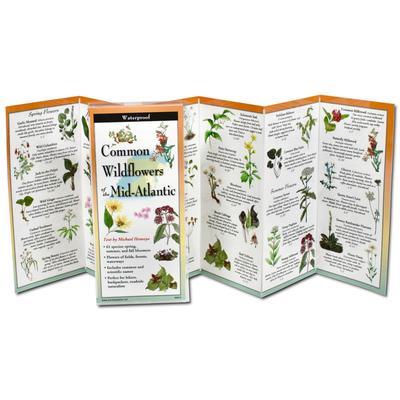 Homoya, M: Common Wildflowers of the Mid-Atlantic