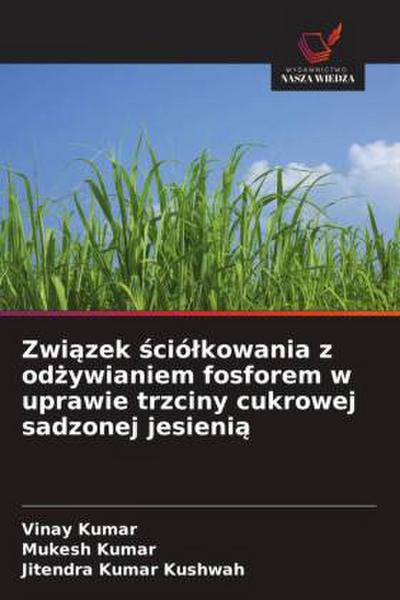 Zwi¿zek ¿ció¿kowania z od¿ywianiem fosforem w uprawie trzciny cukrowej sadzonej jesieni¿