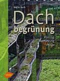 Dachbegrünung