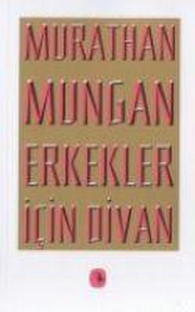 Erkekler Icin Divan