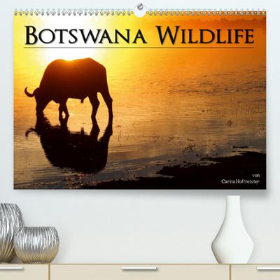 Botswana Wildlife (Premium-Kalender 2020 DIN A2 quer)