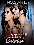 BDSM Collection 7