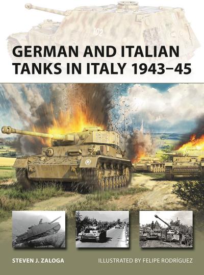 German and Italian Tanks in Italy 1943-45