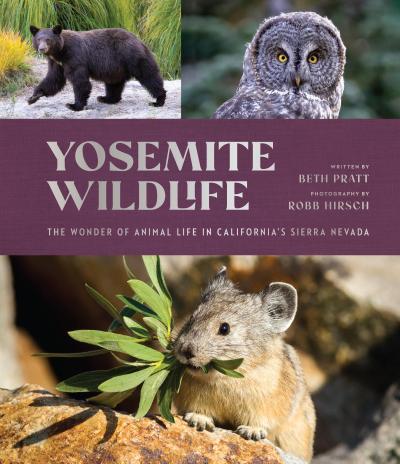 Yosemite Wildlife