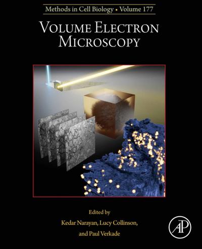 Volume Electron Microscopy