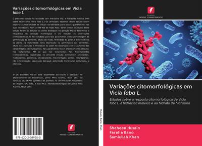 Variações citomorfológicas em Vicia faba L.