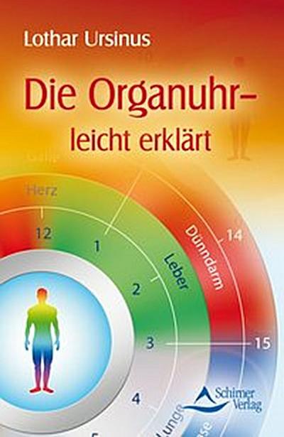 Die Organuhr - leicht erklärt