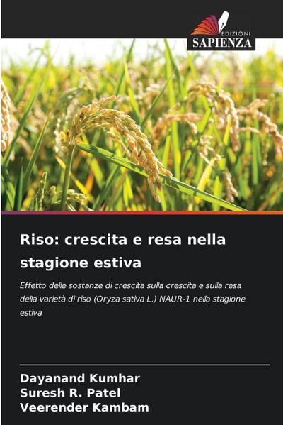 Riso: crescita e resa nella stagione estiva