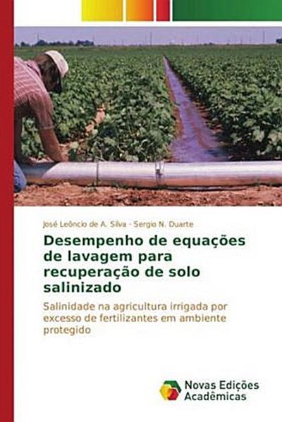 Desempenho de equações de lavagem para recuperação de solo salinizado