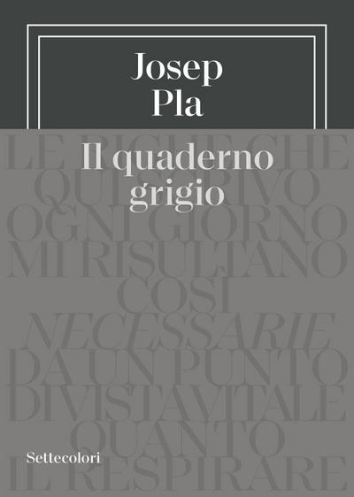 Il quaderno grigio