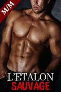 L’ETALON Vol. 3 : Rencontres Dangereuses