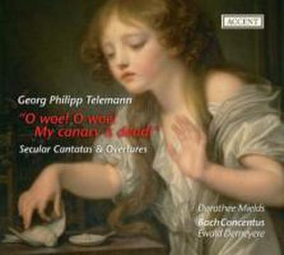 Secular Cantatas & Overtures